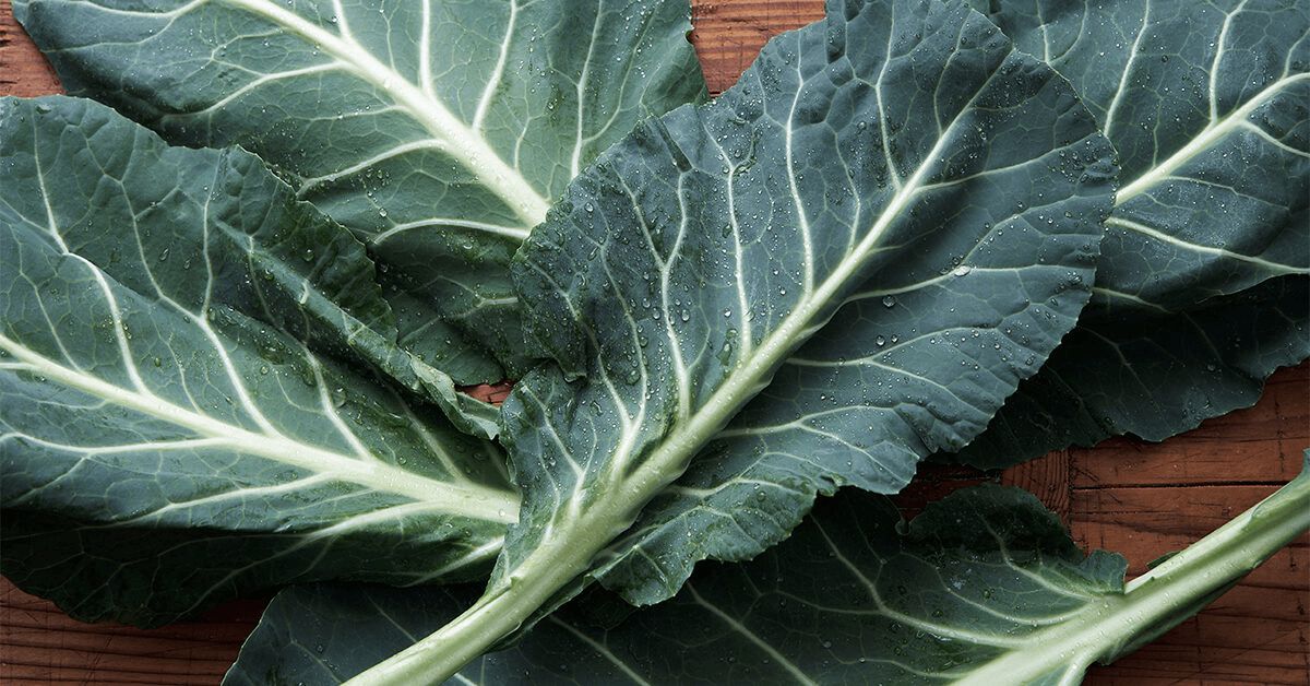 Vitamin K - splošne koristi