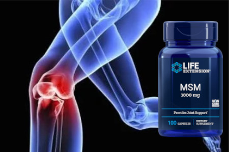 Life Extension MSM 1000 mg, 100 kapsul
